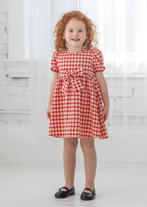 Paisley plaid Woven Red Dress
