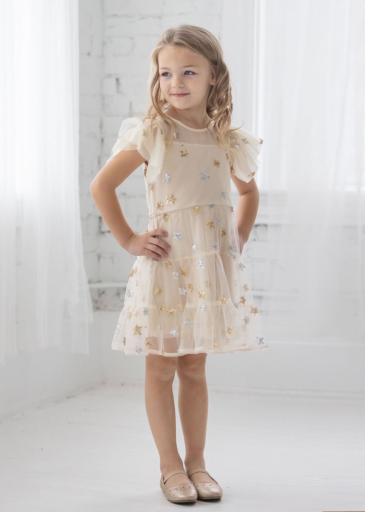 Nutcracker Embroidered Tulle Dress